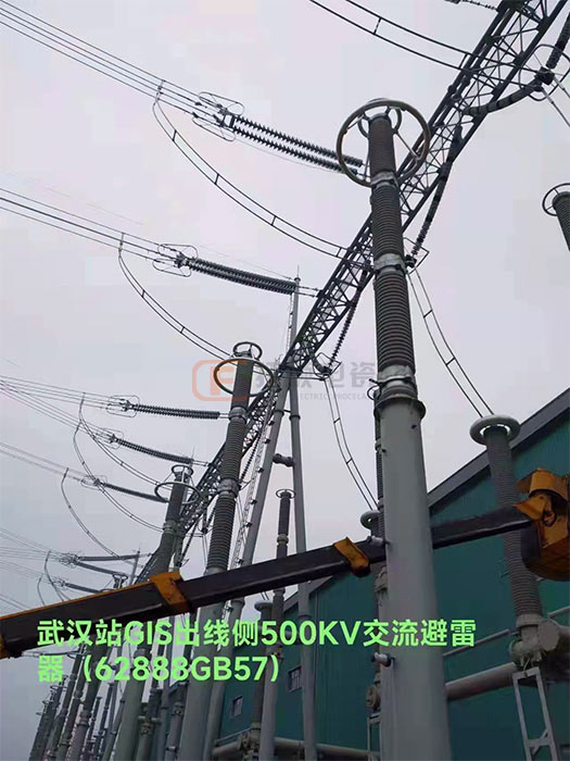 武漢500KV交流避雷器.jpg